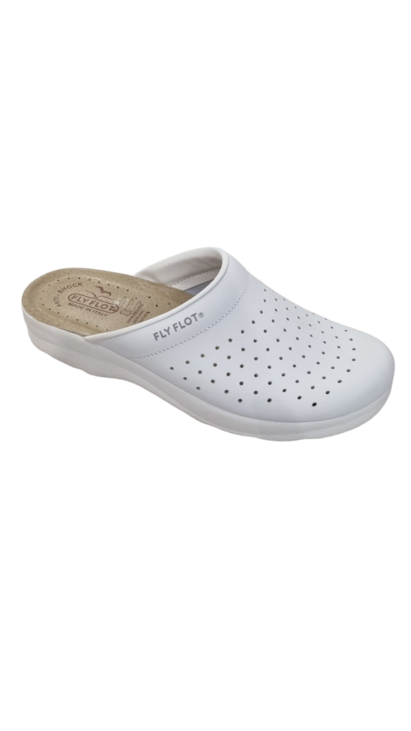 FLY FLOT PROFESSIONAL